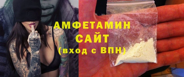 сатива Ростов