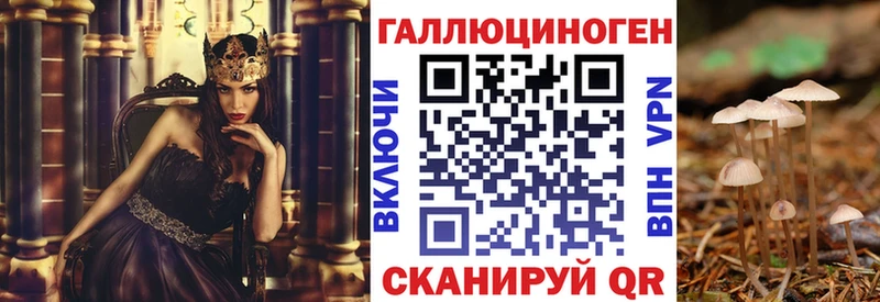 Галлюциногенные грибы Psilocybine cubensis  дарнет шоп  MEGA сайт  Макаров 