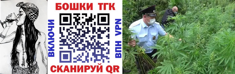 как найти   Макаров  Конопля гибрид 